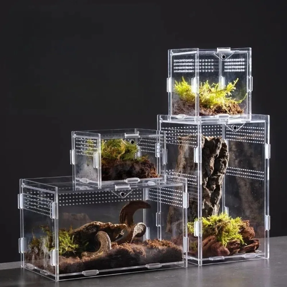 Durable Acrylic Anti-Escape Reptile Habitat Cage