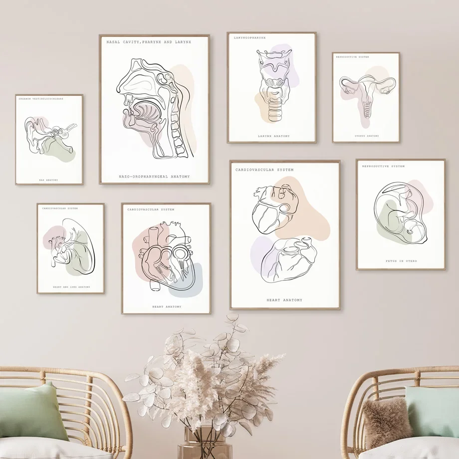 （2D Canvas painting） Minimalist Colorful Anatomy Line Medical Poster Prints Wall Art Mural Ear Larynx Heart Canvas Painting D