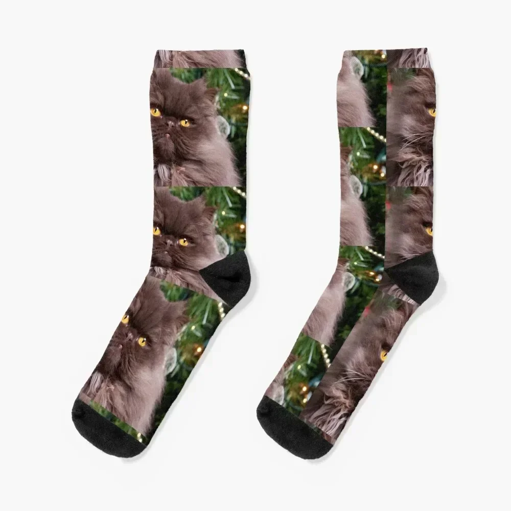 

Christmas Persian Cat Socks bright garter gym golf cotton Woman Socks Men's
