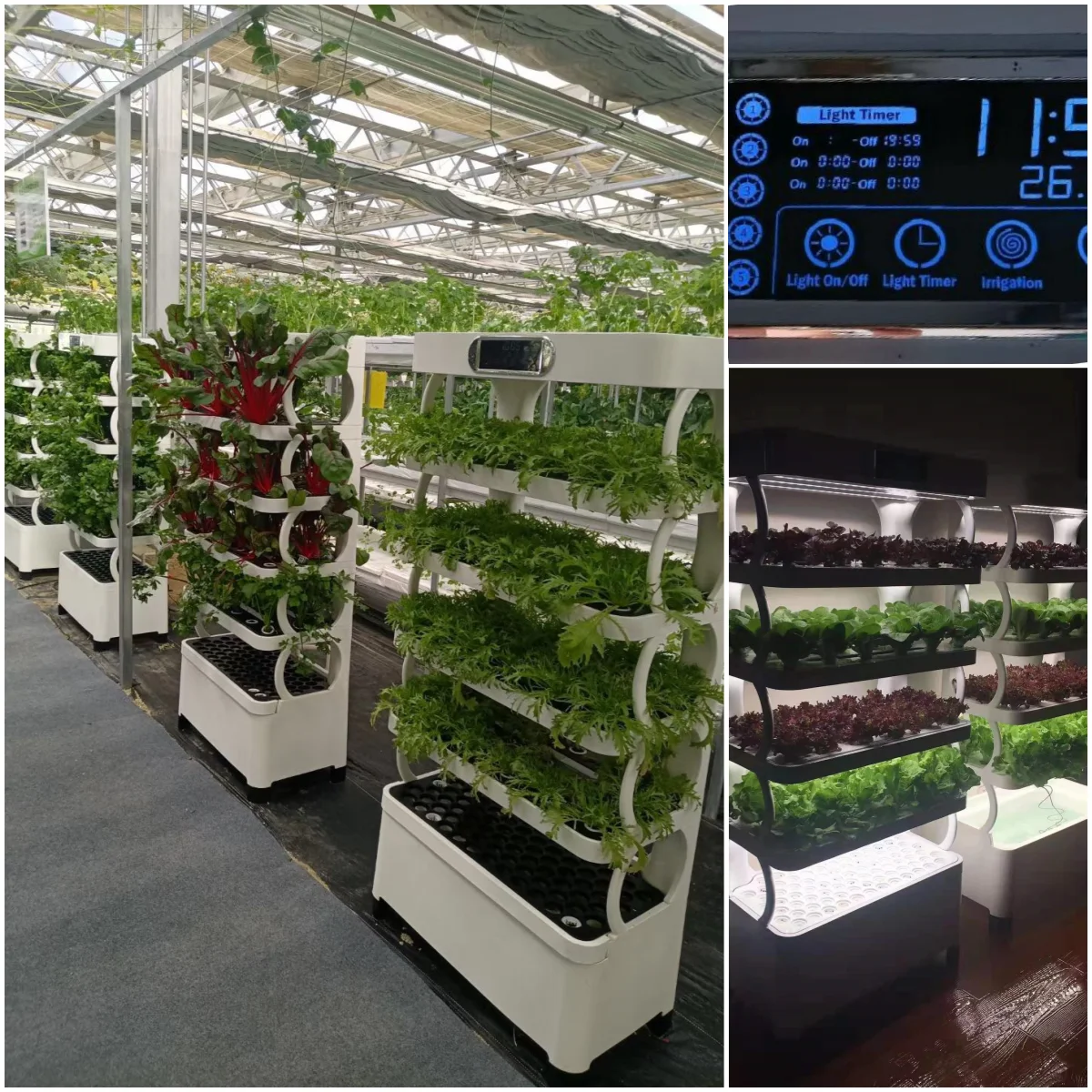 زراعة الخضروات المائية الذكية المنزلية رائجة البيع نظام الزراعة المائية مع مصباح نمو Led للحديقة الداخلية #6