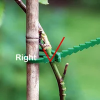 50Pcs Reusable Adjustable Plastic Plant Cable Ties Garden Vine Support Clips For Tree Climb Tomato Stem Fixing Garden Supplies 4