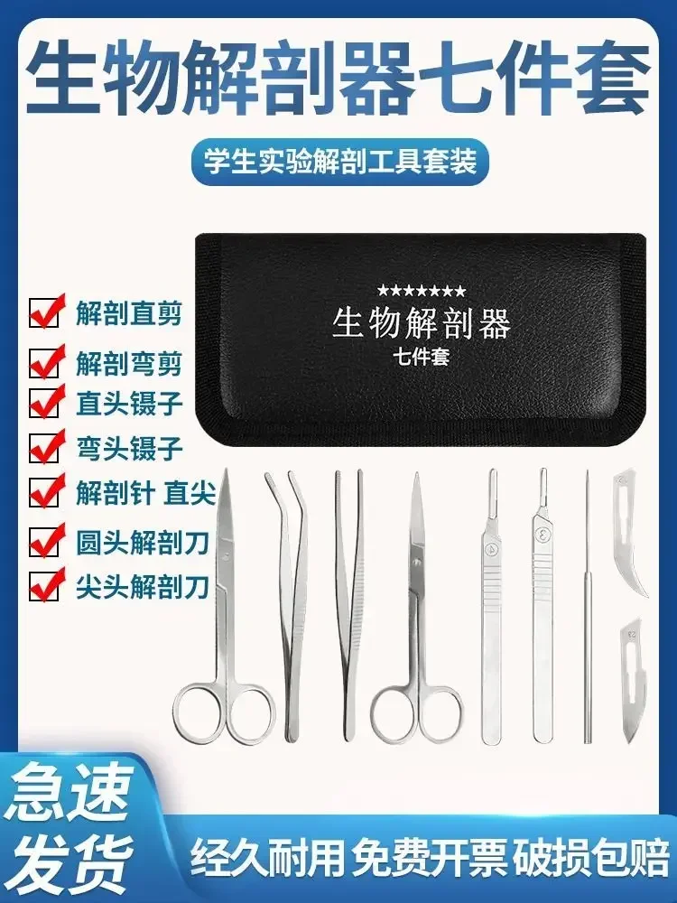 Stainless Steel Insect Dissection Scissors, Medical Biology Laboratory Equipment Tools, Dissection Needles view 5