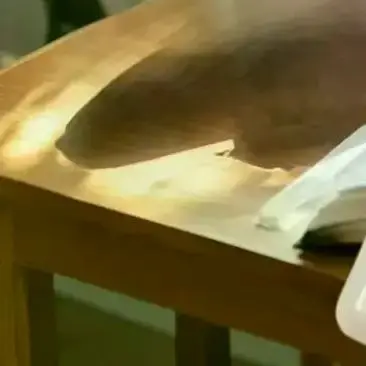 120/360개 나비 모양 여드름 패치 스티커 잡티 커버 0.1mm 여드름 치료 여드름 제거 스킨케어