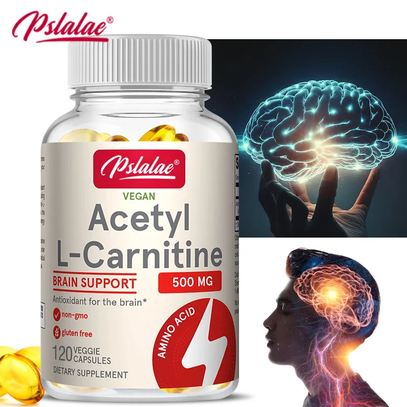 Acetyl-L-Carnitine Capsules - Supports Memory Focus Increase Body Performance Metabolic Energy