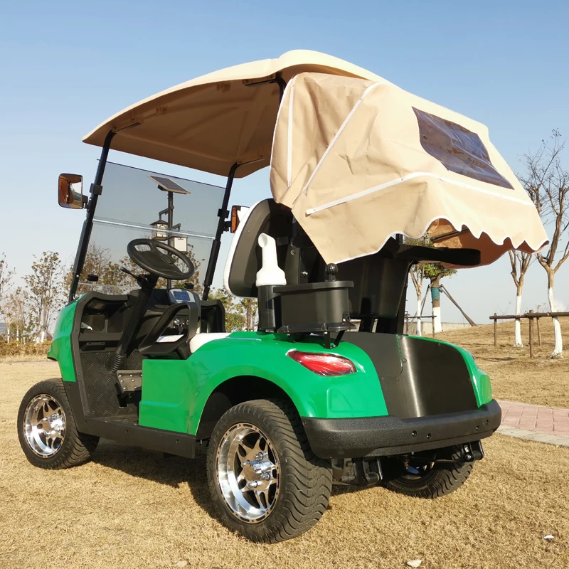 

Customized 2-seater golf cart with 5kw motor and high-performance golf cart powered by long-range lithium batteries