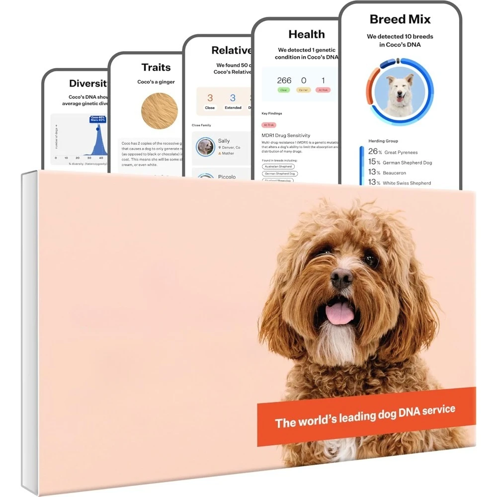 Us Shipping Premium…