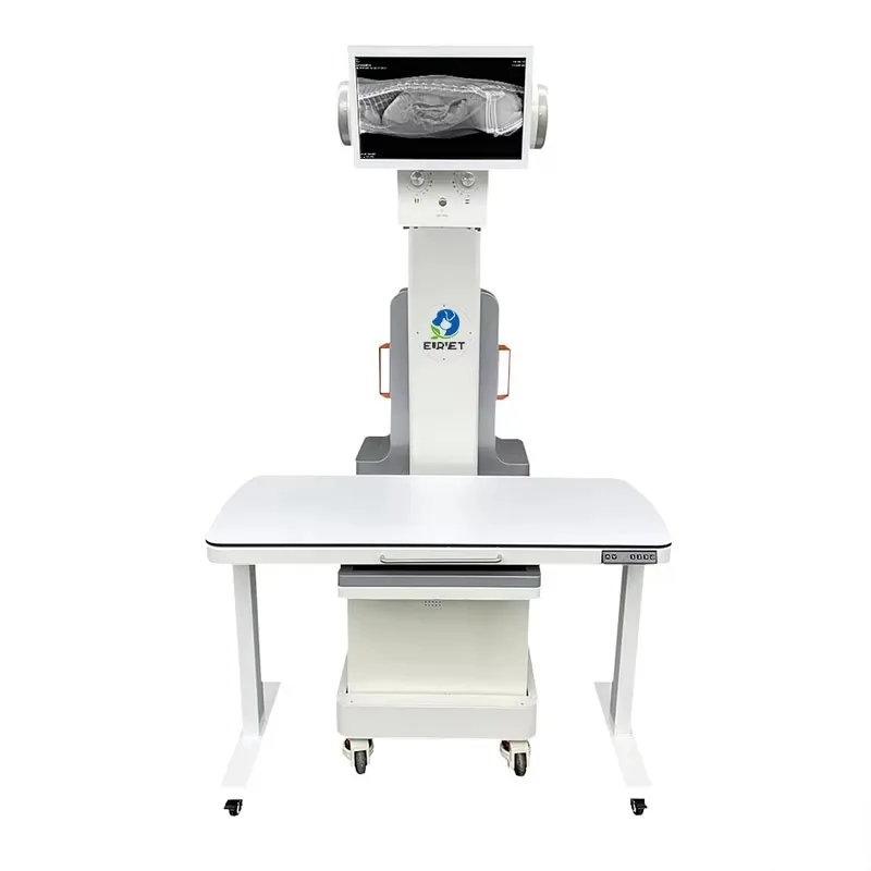 2026 32kw Digital Radiography X Ray Machine Dynamic Veterinary Diagnostic Equipment for Animal Hospital and Pet Supplies