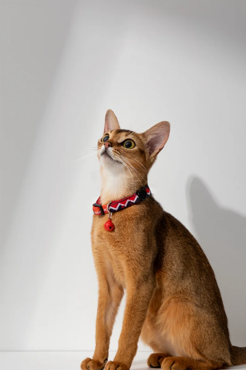 Cat Collar Anti-Pull Adjustable Soft Nylon Polyester Collar Necklace Personalized  Accessories For Pets