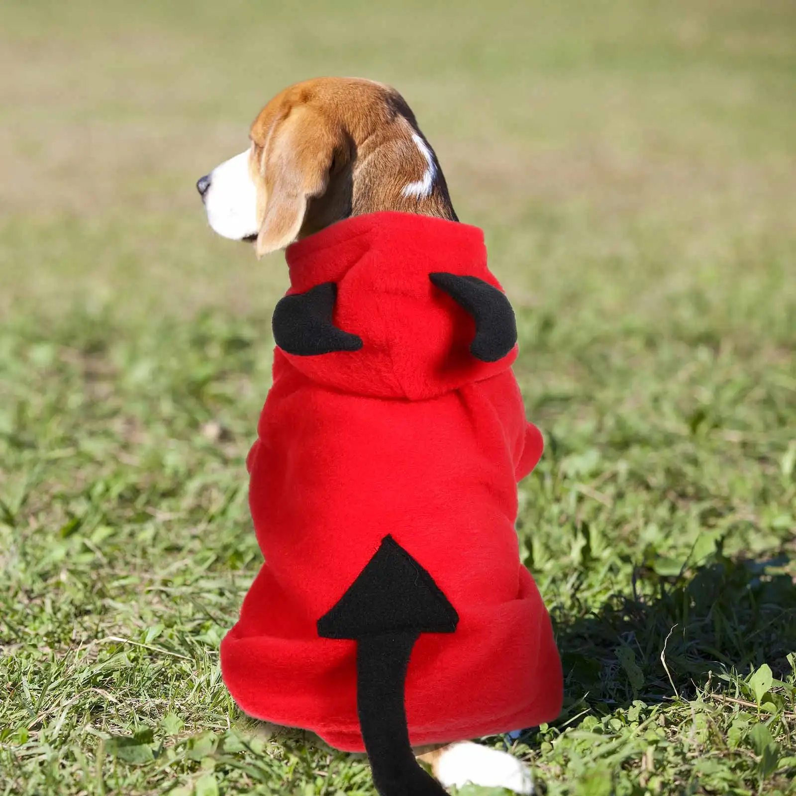 

Pet Devil Costume For Dogs 3D Halloween Dog Clothes, Stereoscopic Design, Outdoor Activity Wear, Party Costume, Photo Shoot