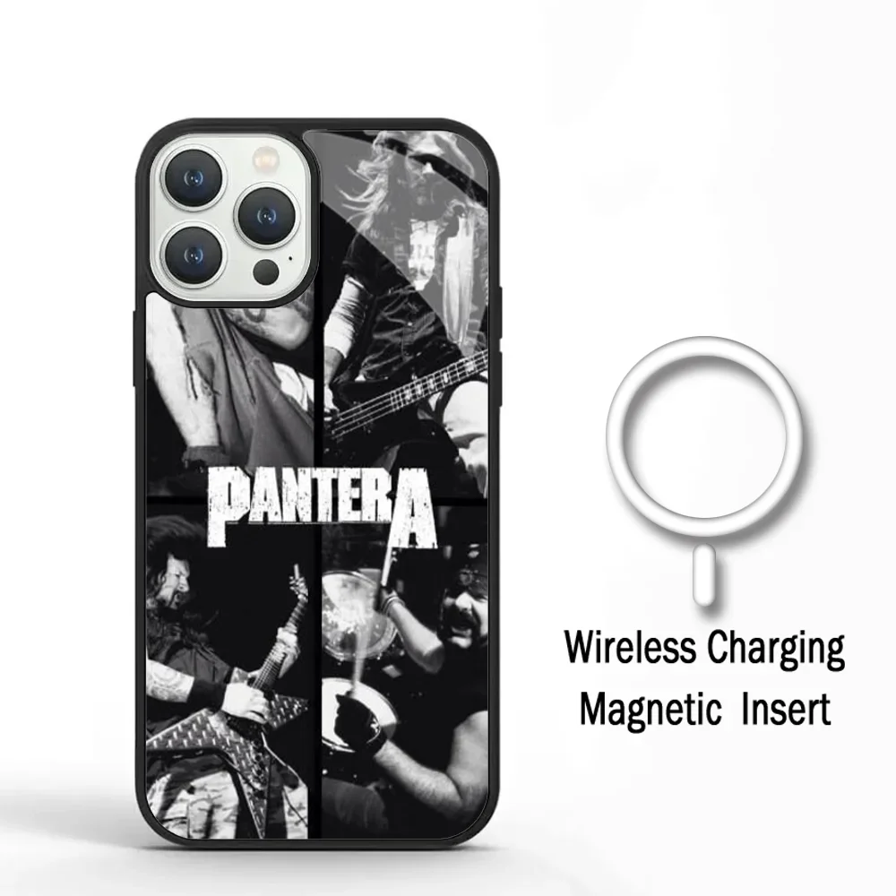 Anselmo Pantera Ritual Metal Band Phone Case For IPhone 11 12 13 14 15 Plus Pro Max Mirror Acrylic For Magsafe Wireless Charging