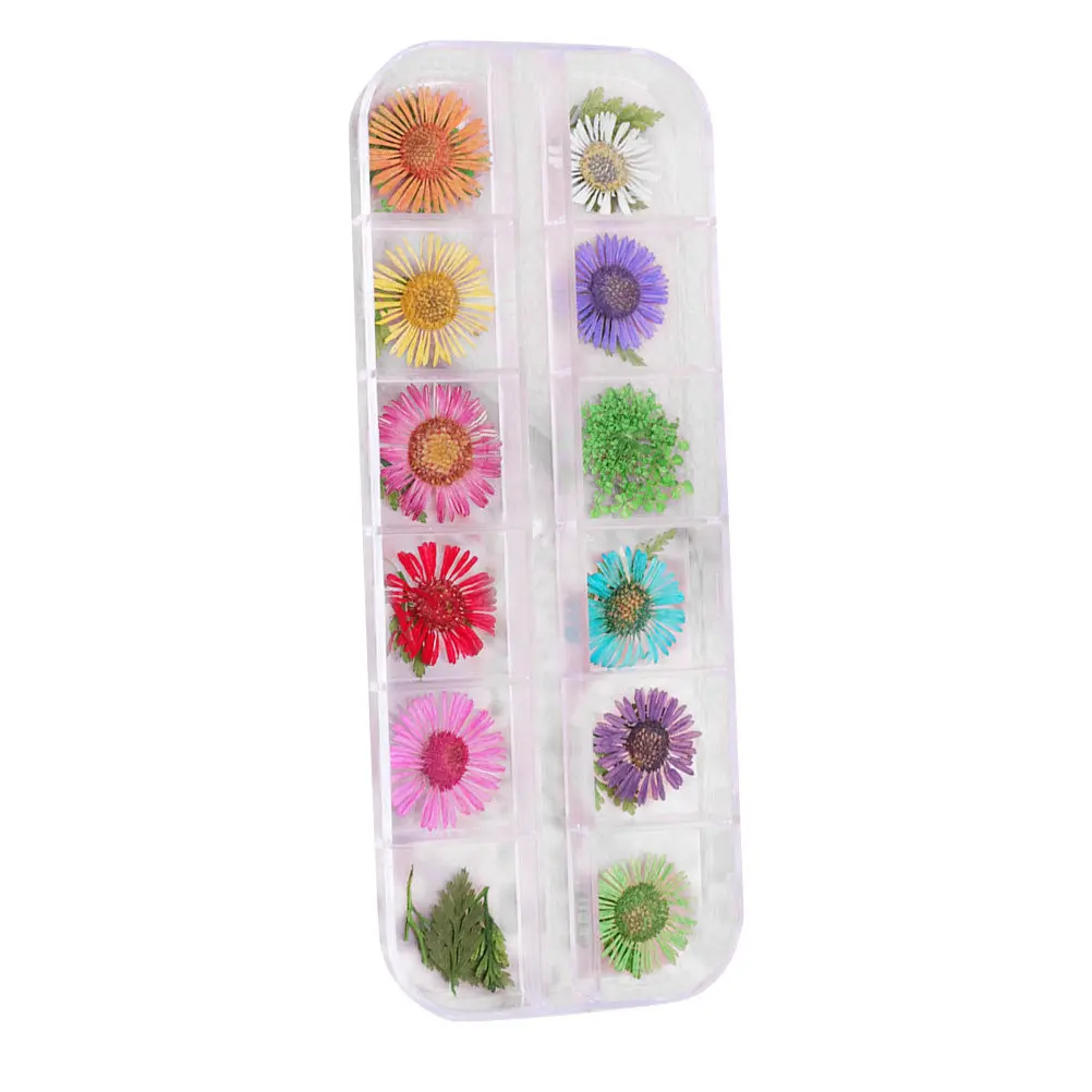 Natural Dried Chrysanthemum Nail Art Flowers Set Delicate Petals Stems Flower Heads for Professional Home Use Nail Decal Sticker