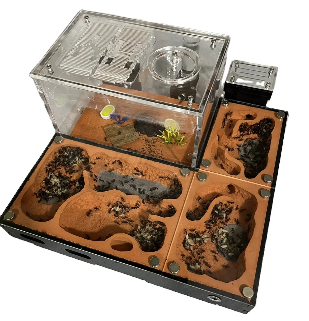 

Eco Ant Castle Pet Queen Breeding Workshop Ant Nest for Science Teaching