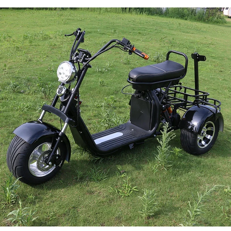 Dogebos Capacity Powerfully Long Range Cheap Mobility Trikes 3 Wheels Golf Electric Tricycle Citycoco Scooterscustom