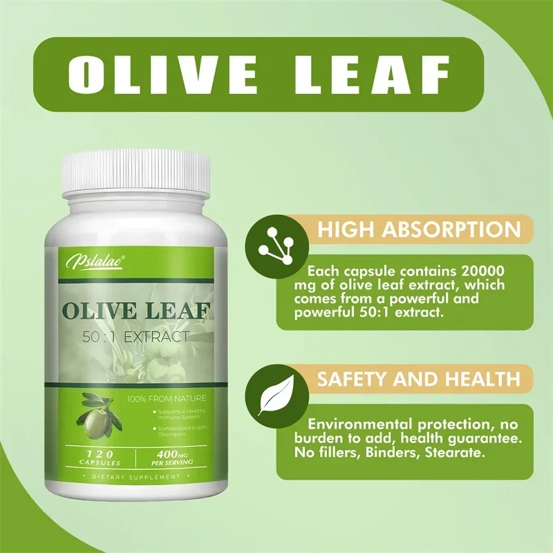 Olive Leaf - Supports Immune System and Cardiovascular Health, Promotes Blood Circulation