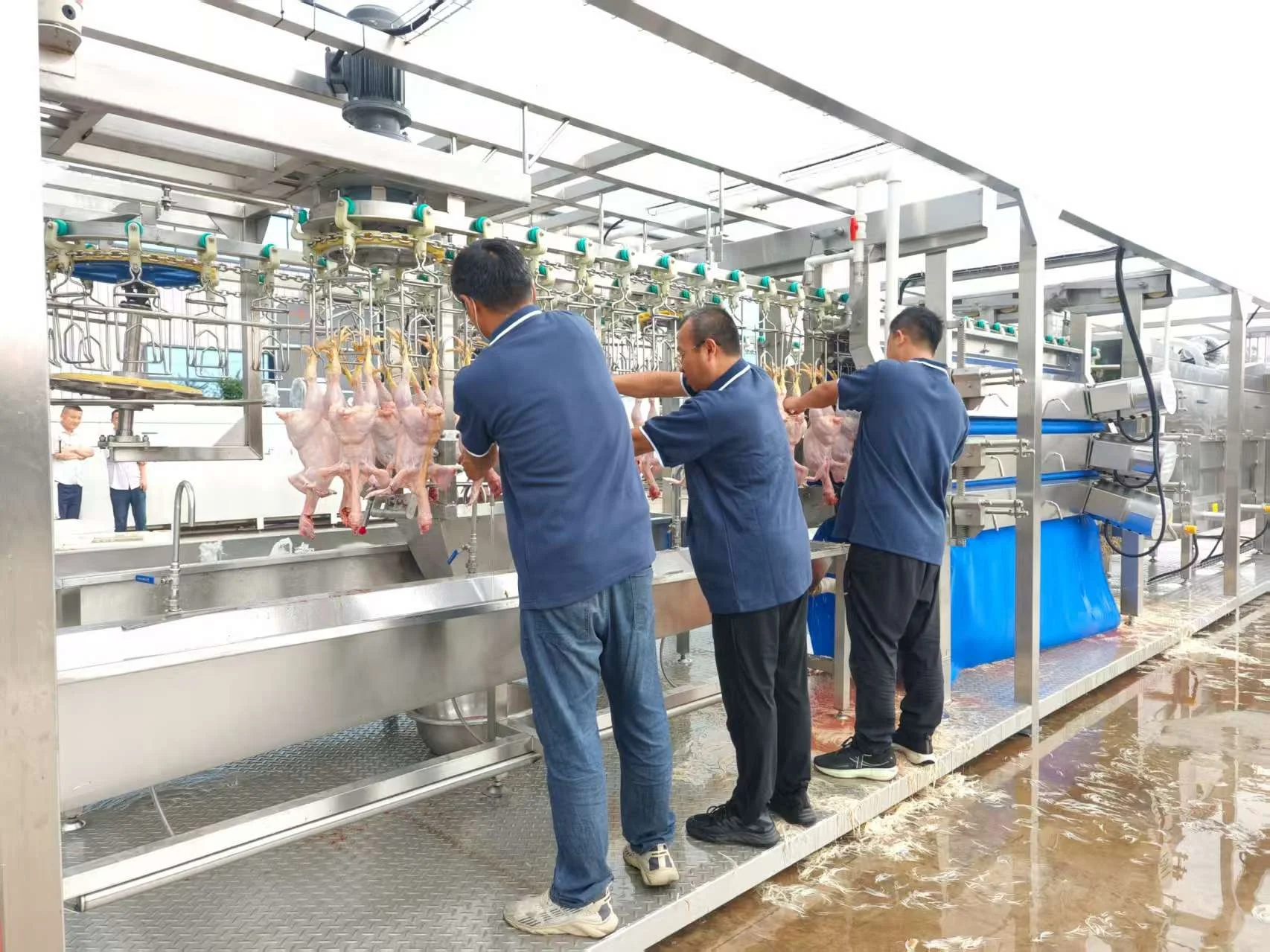 FOODLINE Poultry Slaughter Line Complete Chicken Pre‑Cooling Processing Line for Fresh Chicken Meat Preservation