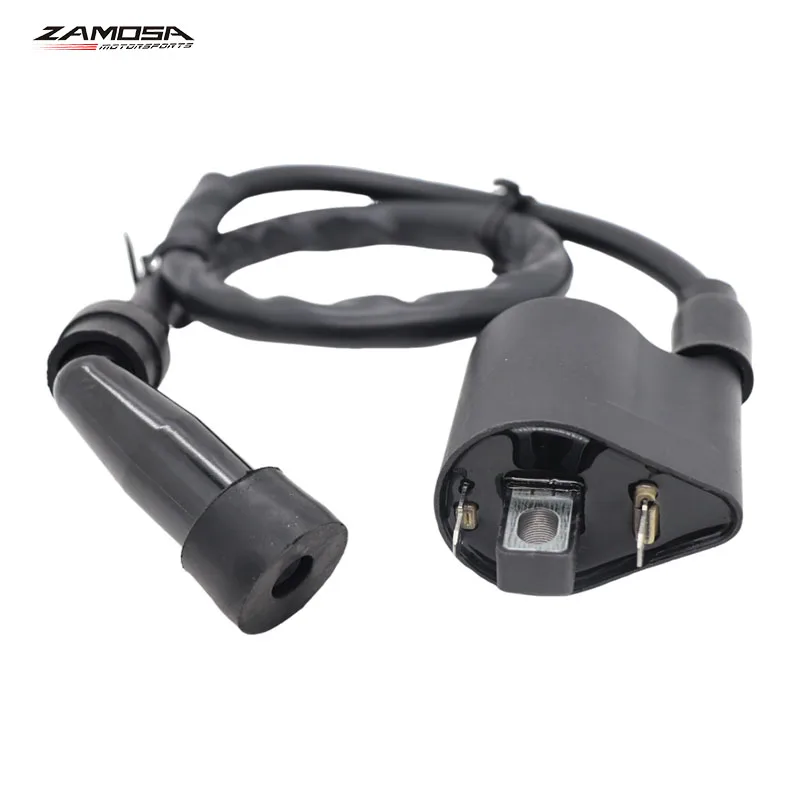 

DL 1000 LTA 400 YXR 700 DL1000 Motorcycle Electric Ignition Coil Compatible With DL 1000 LTA 400 YXR 700 DL1000 LTA400 YXR700