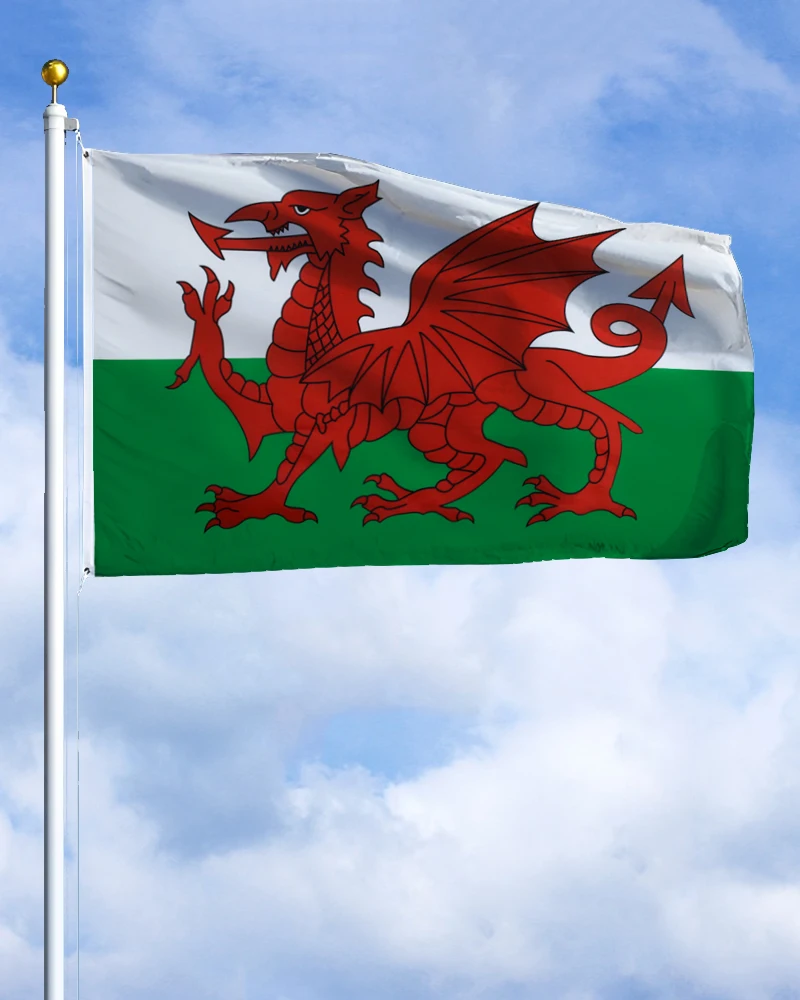 60×90 90x150 120×180CM Wales Welsh Emblem Flag Polyester Printed Banner Tapestry For Decor