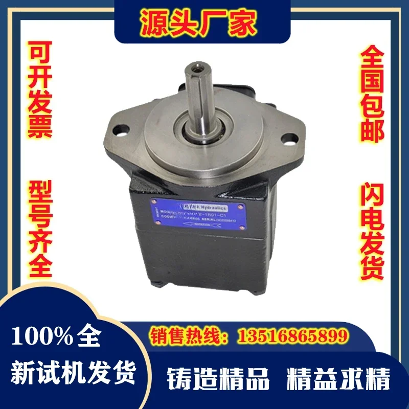 DENISON vane pump T6C T6D T6E double high pressure oil pump T6CC/DC/ED/EC hydraulic pump core