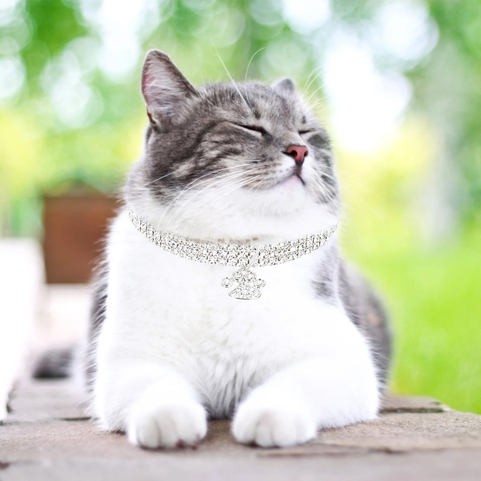 

3pcs Decorative Wear-Resistant Pet Collars Durable Comfortable Dog Neck Protection Accessories For Cats Dogs Easy Clean Reusable