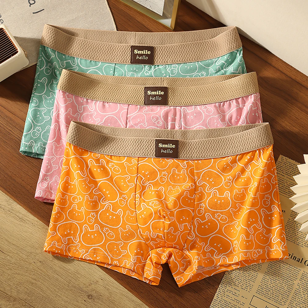 

3 шт./упак. модные мужские трусы с рисунком кролика, хлопковые удобные мягкие шорты-боксеры, 3D большие космические сетчатые мужские трусы с промежностью, нижнее белье