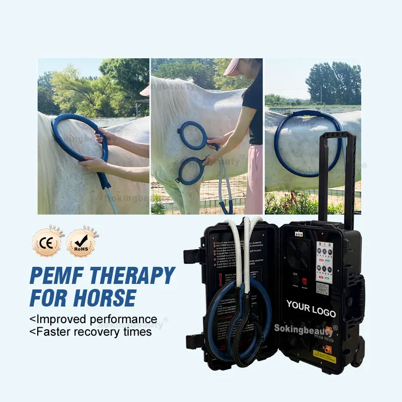 Veterinary Physiotherapy Equine Pemf Machine For Sports Massage And Rehabilitation Of Horse Musculoskeletal Injuries