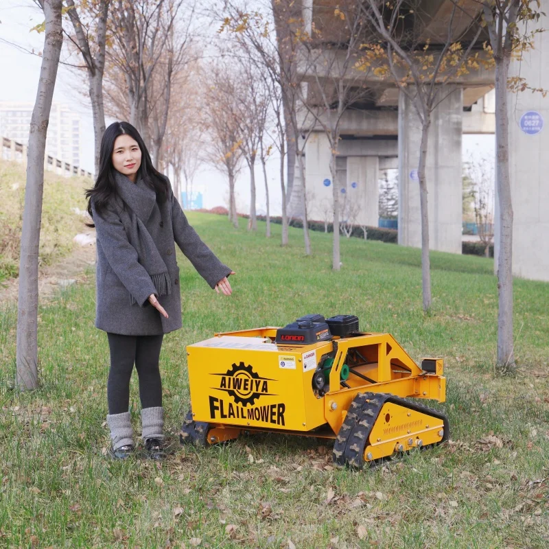 تخصيص عالية الحصان الصناعية جزازة flail CE EPA معتمدة آلة التحكم عن بعد اختياري منفاخ الثلج المصنع مباشرة #2