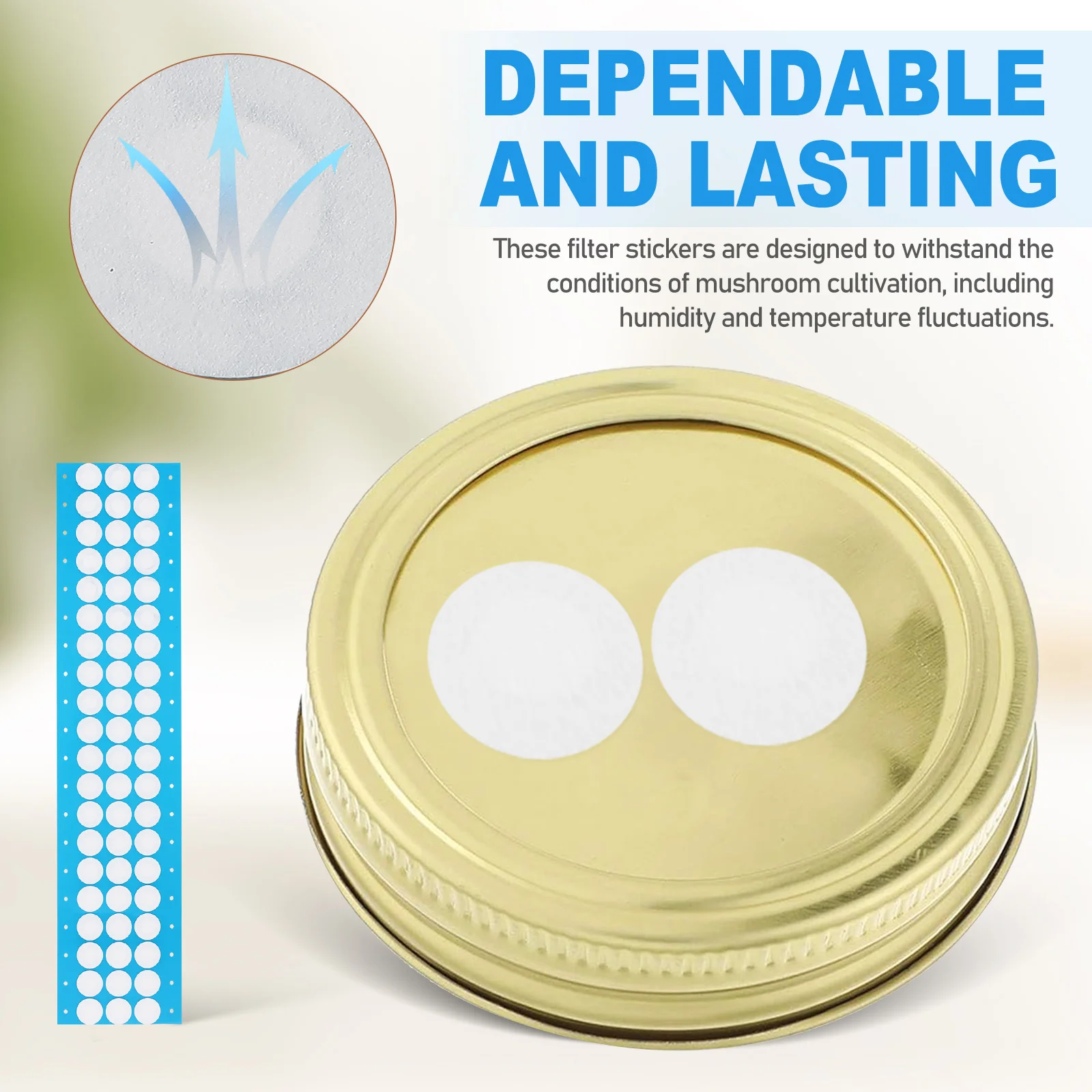 1 Arkusz Syntetycznego Papieru Filtracyjnego Samoprzylepny Dysk Filtracyjny do Mikologiaii i Hodowli