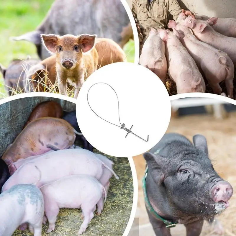 Stainless Steel Catching Pig Lasso Baoding Pig Head Grab Pig Device for small and medium-sized pigs Equipment Convenient Safety