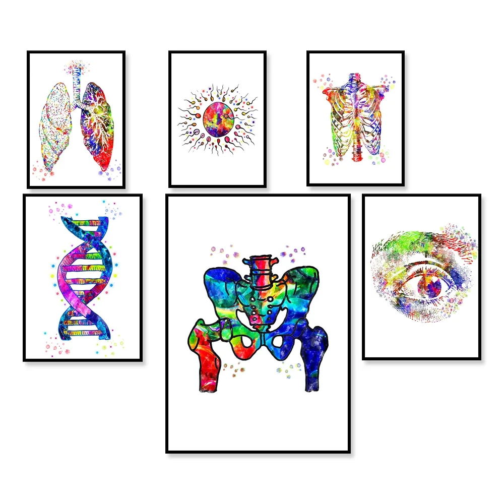 

Watercolor Print Anatomy Art Skeletal System Poster Science Art Anatomy Print Medical Wall Decor Biology Anatomy Print