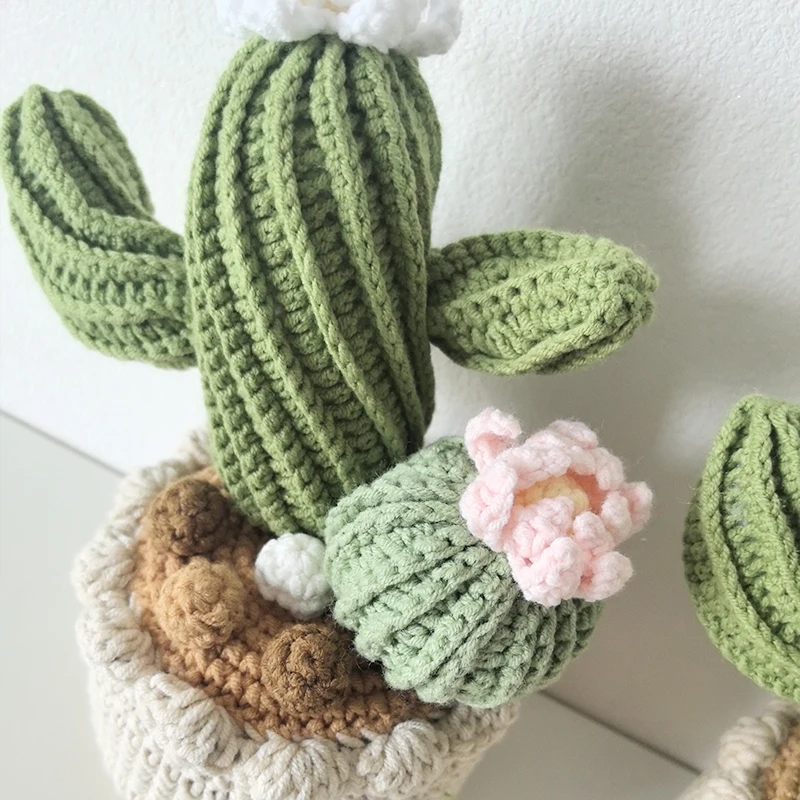 กระถางต้นไม้ถักโครเชต์สุดน่ารั - Cactus Mix Pot บทวิจารณ์และราคา