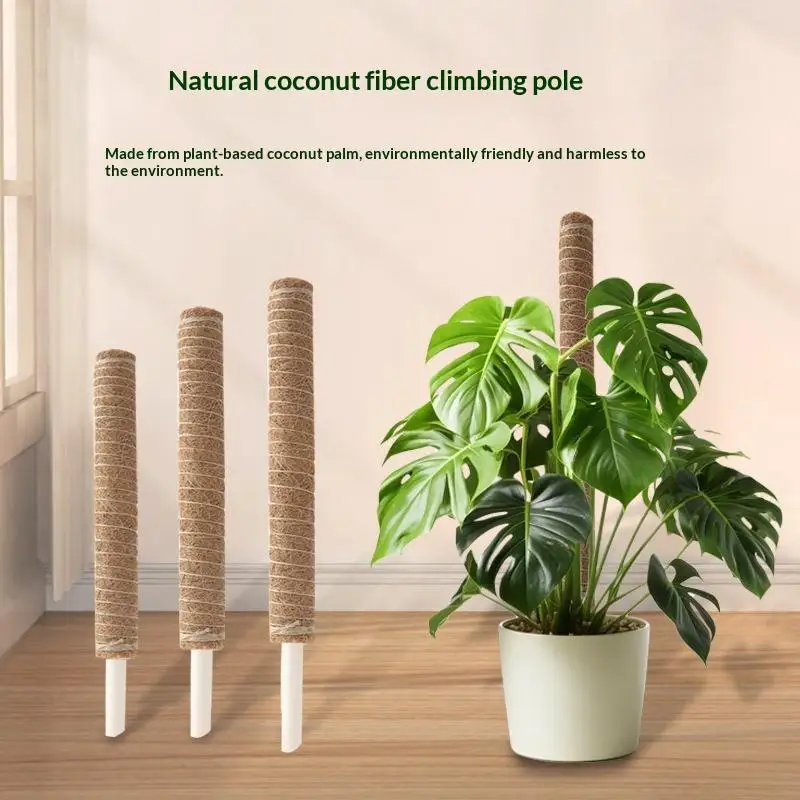 1Pcs Plant Growth Traction Rod Plant Climbing Fixed Bracket Support For Vines Large Handmade Plant Pole Sticks〔White〕