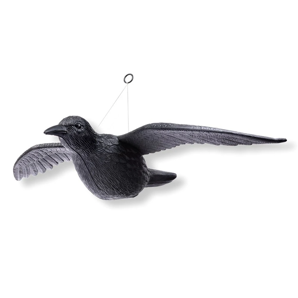 Plastic Black Flying Raven Falcon Hunting Decoy Bird Deterrent Scarecrow Repellent view 3