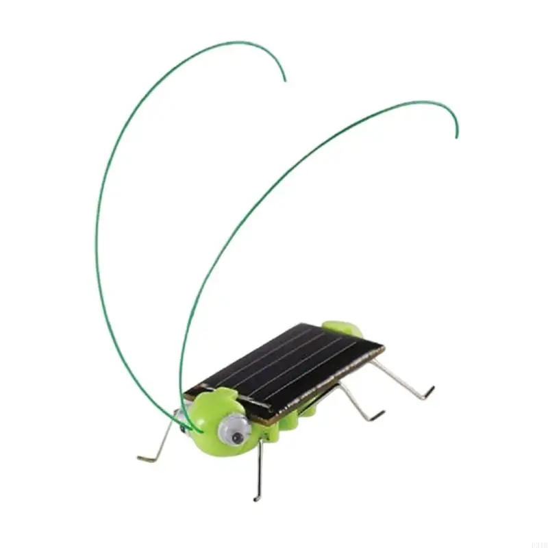 

Educational Hopping Insect Science Solar Powered No Batteries Needed for Ages 8+ P31B