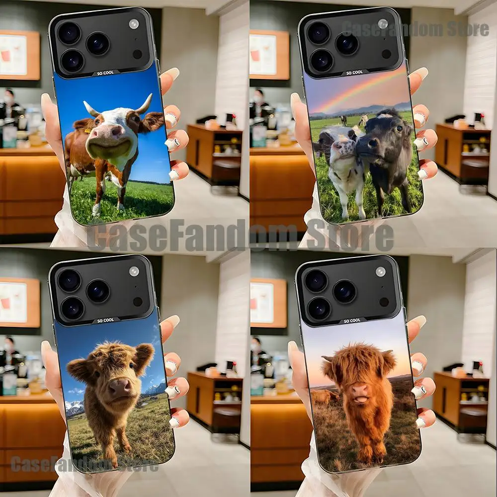 

Cute Highland Cow Black Matte Shockproof CoverPhone Case For iPhone 17,16,15,14,13,12,11,Pro,Max,Plus