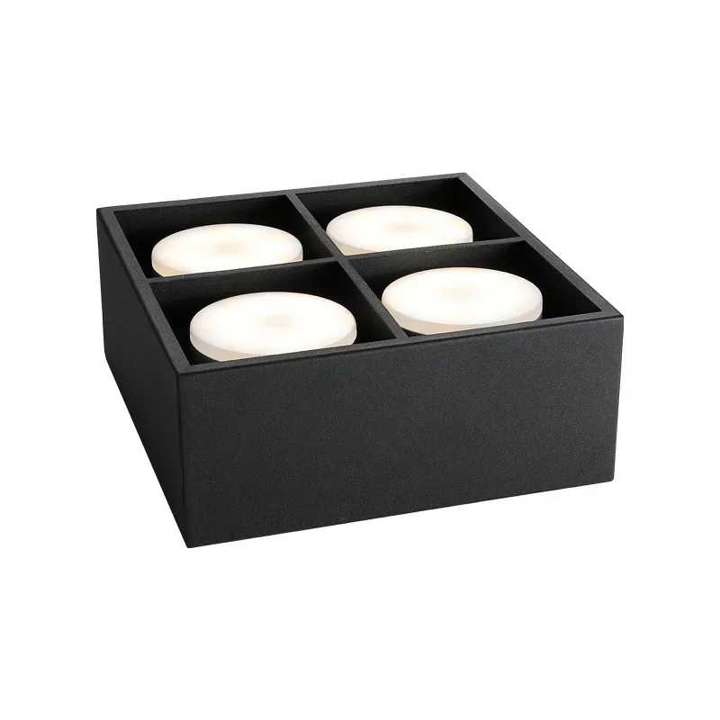 

surface lighting box grille lights in the living room, ceiling spotlights at the aisle entrance