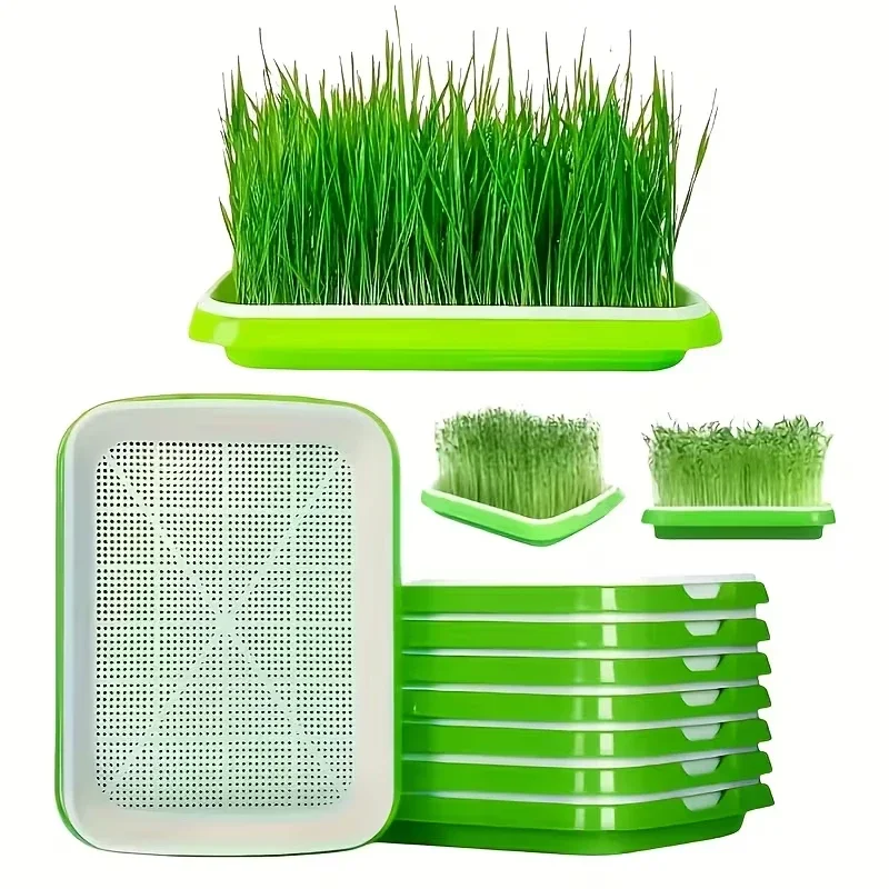 2026-New Home Seed Germination Tray Seedling Planting Tray for Wheatgrass Soilless Cultivation Seedling Growth Home Garden