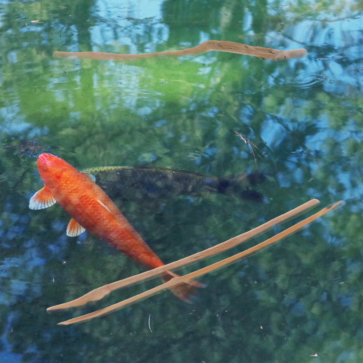 

1Set Natural Driftwood Decoration for Fish Tank Aquarium Planting Moss Anchoring Shrimp Grazing Biofilm Lowering PH Fish Tank