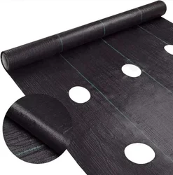 Garden Vegetable Weed Barrier Mat Biodegradable Greenhouse Weed Control Perforated Mulch Film Weed Control Fabric Weeding Mat