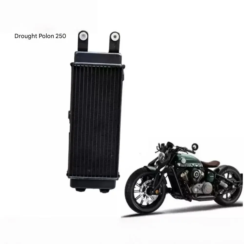 【Precise Fit】Genuine parts for BENDA NAPOLEON BOB 250 motorcycle radiator fan assembly coolant radiator BD250-30.