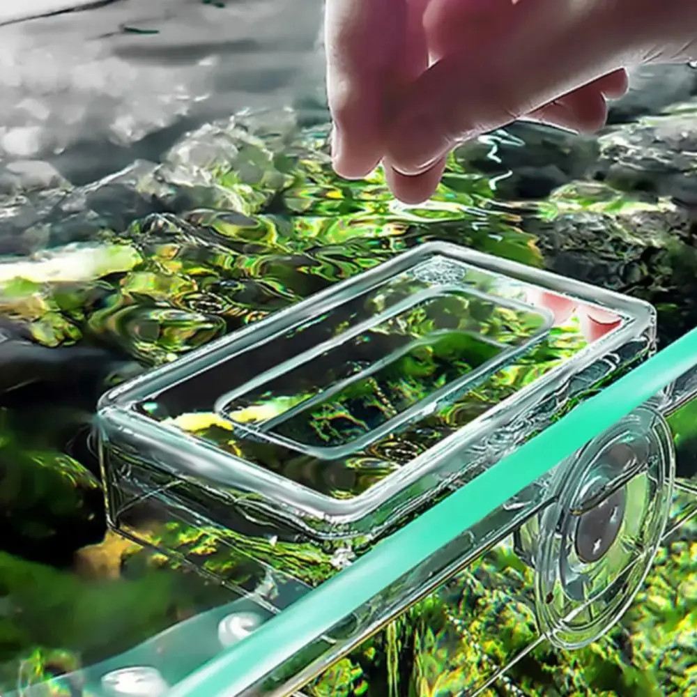 

Rectangle/Round Aquarium Suction Cup Feeder Transparent Fixed-Point Acrylic Aquarium Fish Feeder Acrylic with Suction Cup