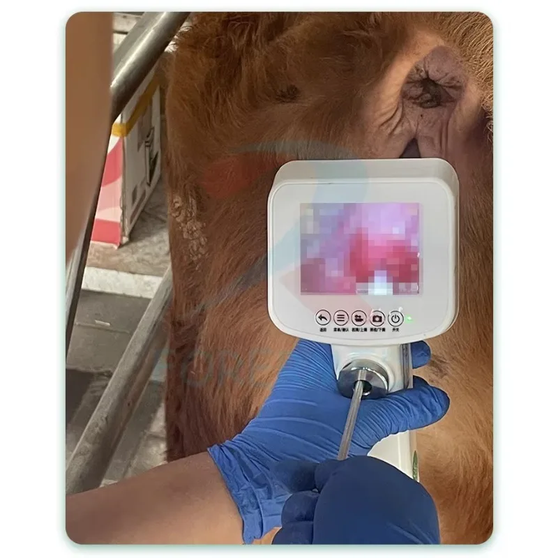 Pig Sheep Endoscope  Dairy Cow High Rate Artificial Insemination Portable AI Artificial Insemination Equipment