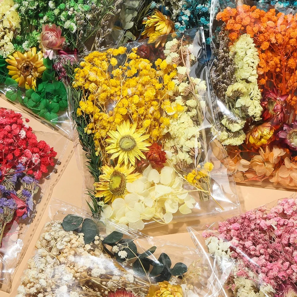 

Natural Plants Preserved Dried Real Flowers Materials Epoxy Resin Candles DIY Floral Materials Hydrangea Flower