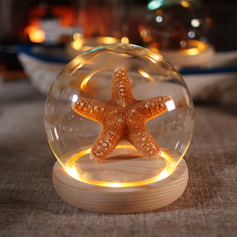 Natural real conch shells starfish sea urchin specimen crafts ornaments home accessories seaside shells souvenirs sea shells