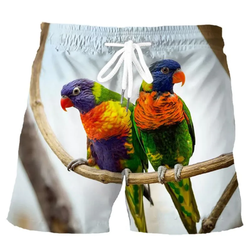 Shorts de praia Parrot Graphic para homens, shorts de impressão 3D, maiô legal, calções de gelo, roupas masculinas