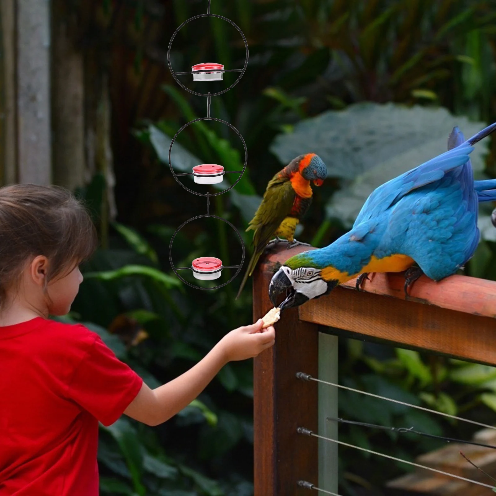 

3Pcs Delicate Bird Feeders for Outdoors Durable Hanging Swing Bird Food Feeder Garden Decor Easy Installation Aesthetic