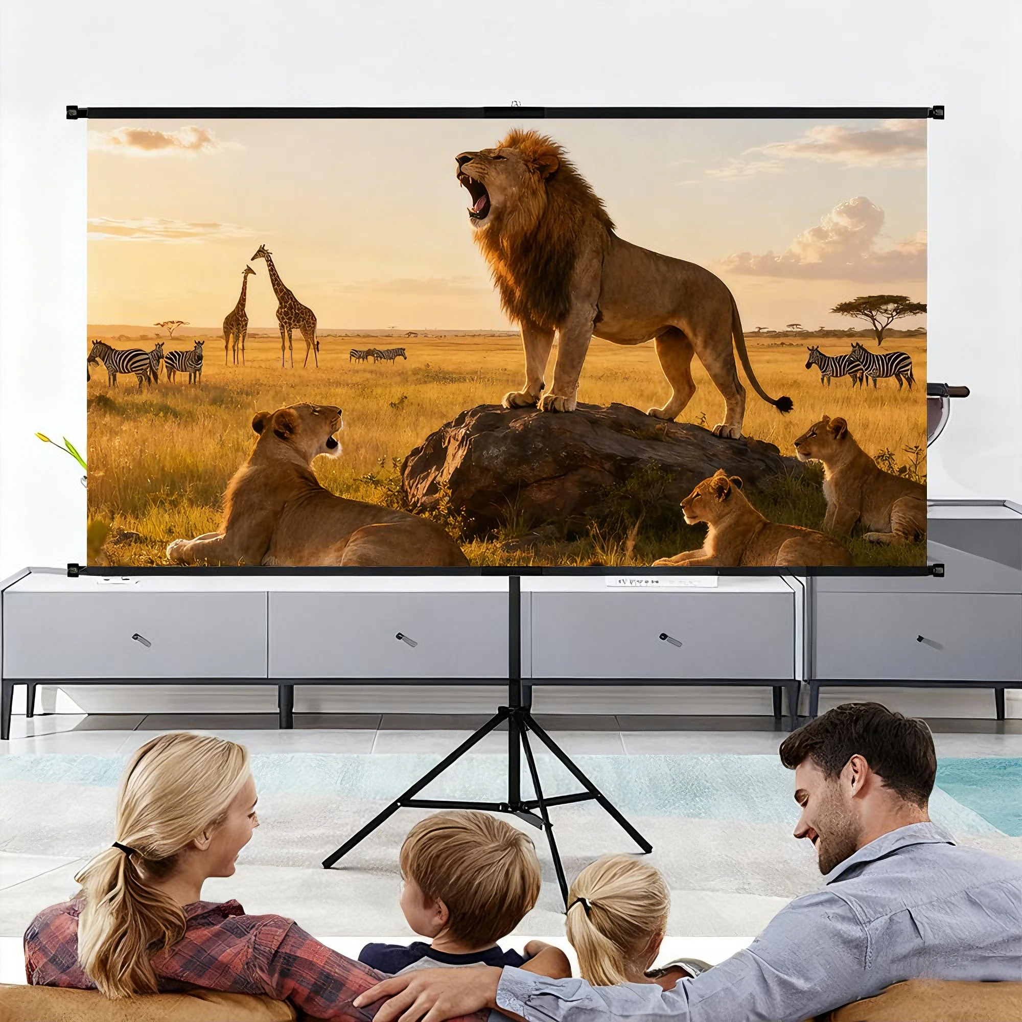 XIAOHUI Projector Screen With Stand Metal Grey Anti-Light 60-92 inch For Home Theater Outdoor Bracket Projection Screen