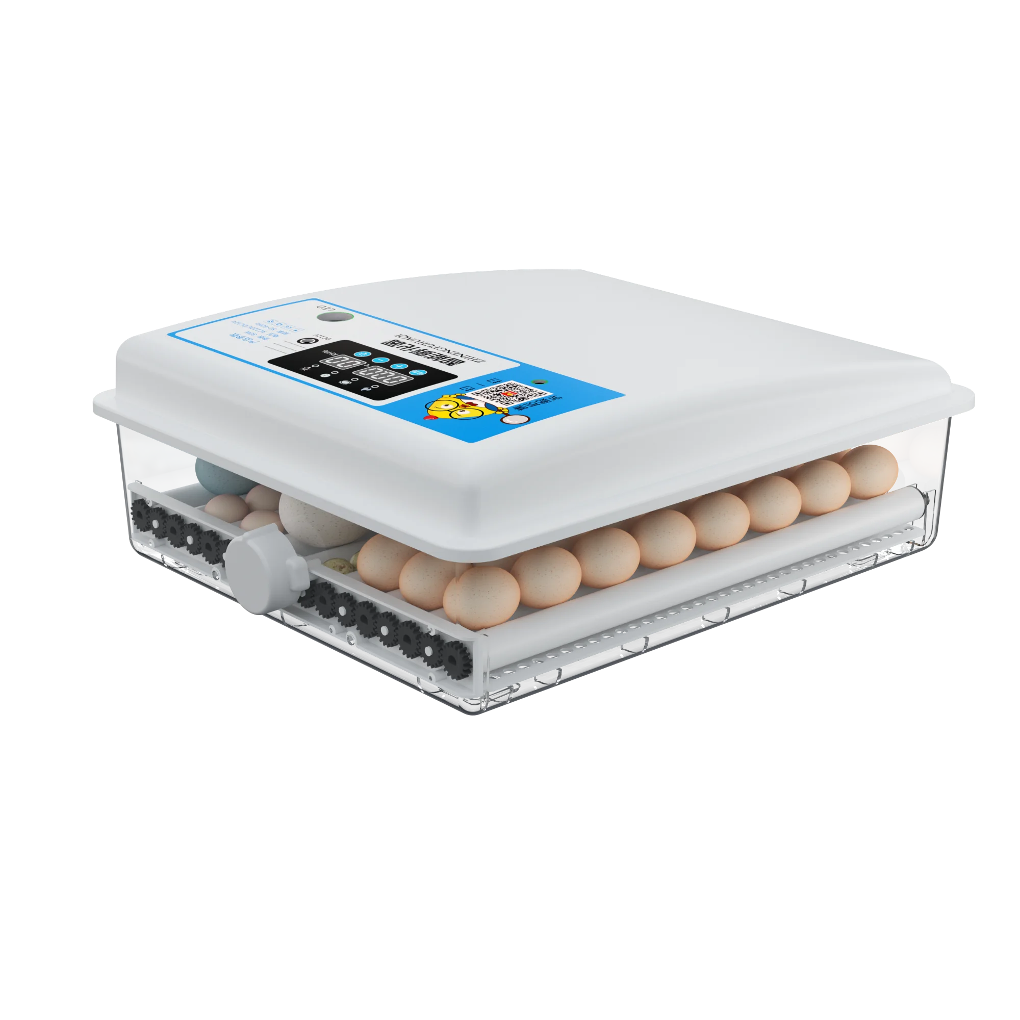 Husbandry Household Use 64 Egg Capacity Dual Power Egg Incubator