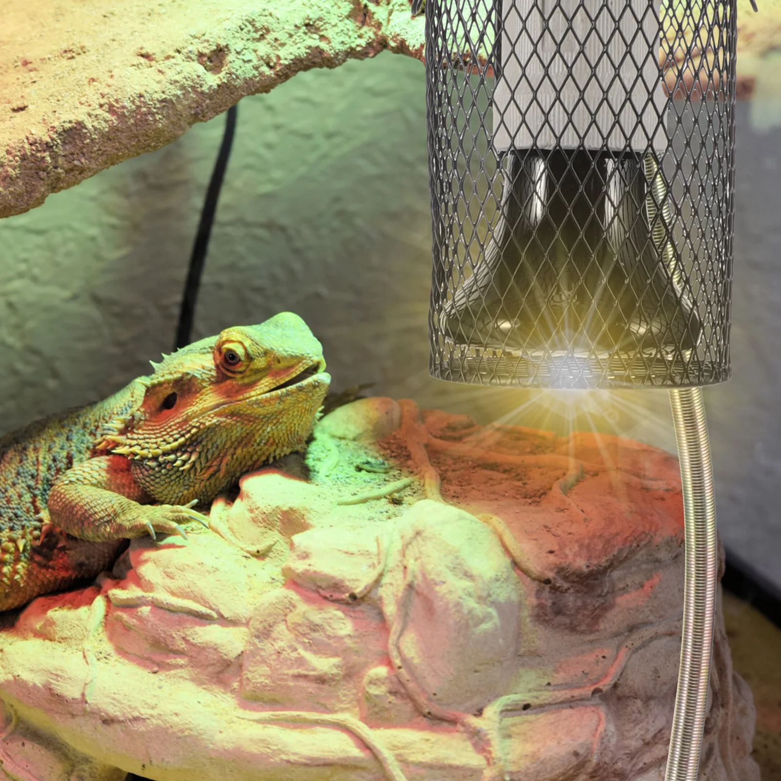 

Pet Heating Lamp Ceramic Bulb Set Reptile Supplies Replaceable Black 120V High Temp Resistant Warm Environment Safety Multi