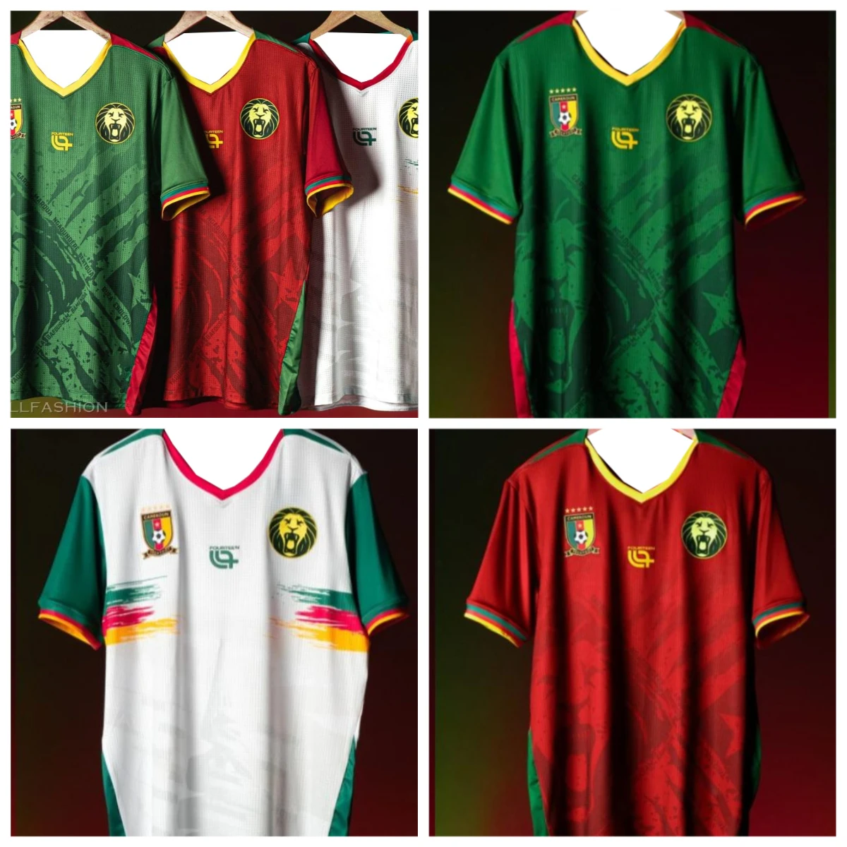

2025 Summer Hot-selling New Cameroon Football Jersey Outdoor Training Breathable Quick-drying Casual Daily Short-sleeved T-shirt