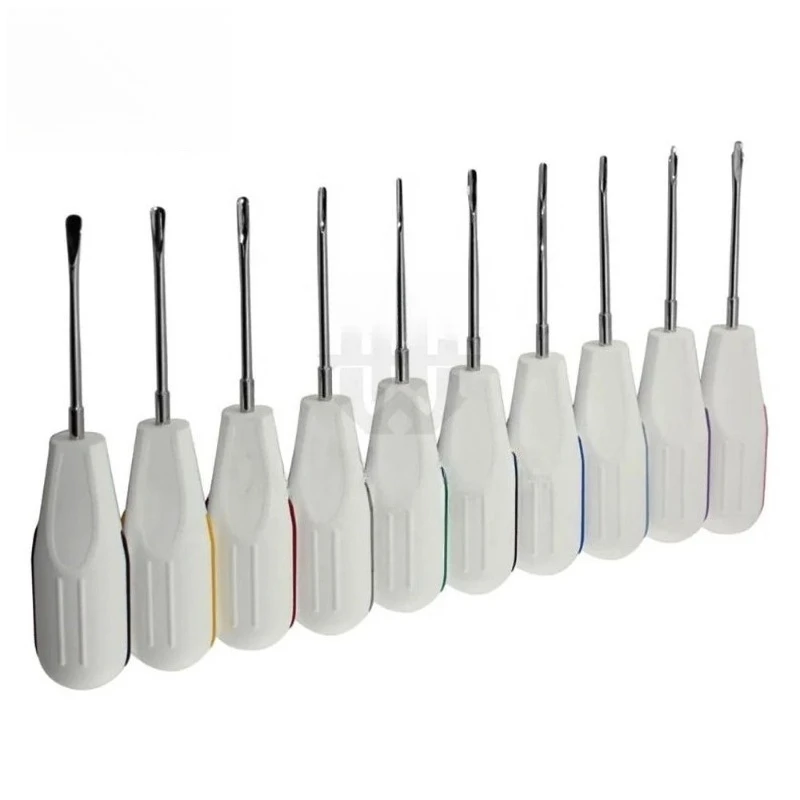 10Pcs Set Stainless Steel Tooth Extraction Tool, Can High Temperature Sterilization . Specialized for Lab Technicians S